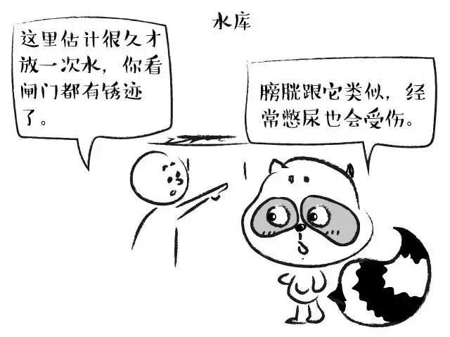 警惕!原来膀胱里有个危险的“疾病三角区”