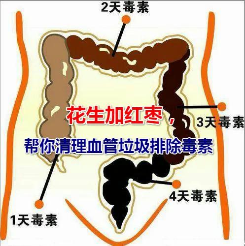 花生加红枣 帮你清理血管垃圾排除毒素 让你身体倍棒吃嘛嘛香