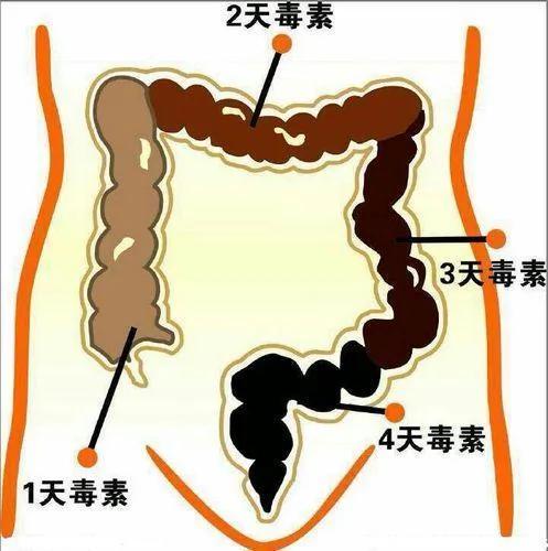 花生加红枣 帮你清理血管垃圾排除毒素 让你身体倍棒吃嘛嘛香