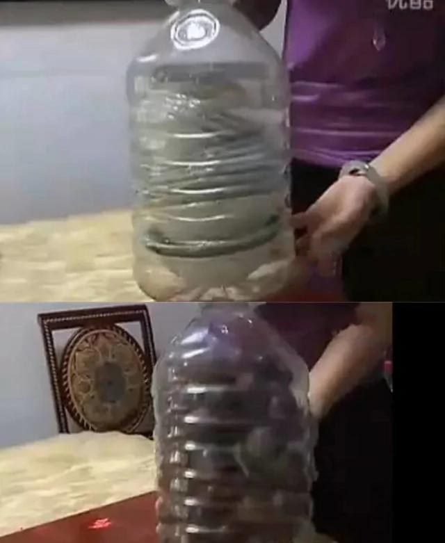 鸡蛋是怎么装进油桶的?真是太有智慧了!