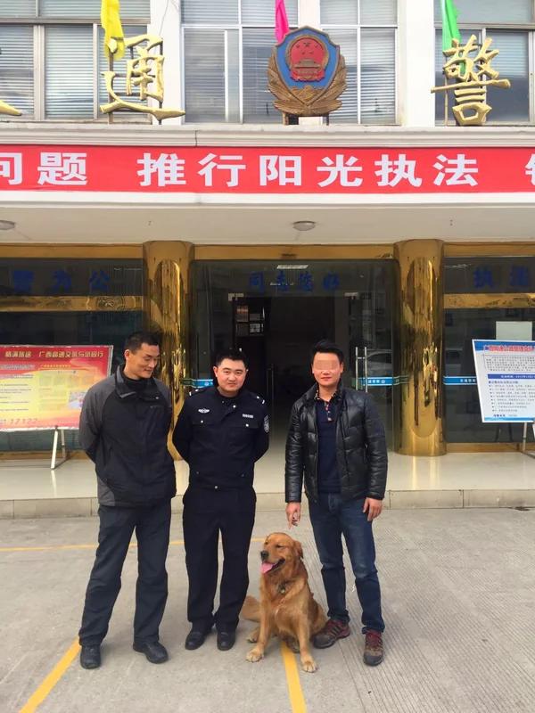 太神奇!金毛狗走丢后自己“报警”求助