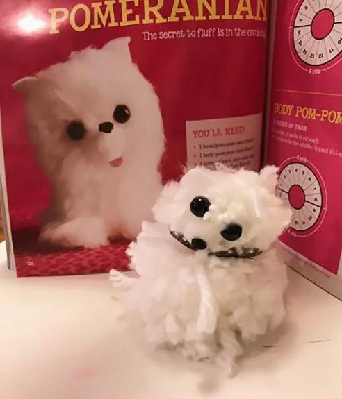 让你笑到拍桌的失败手工艺品