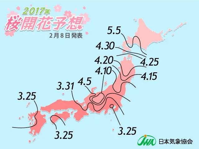 这篇完美的日本赏樱攻略 让你轻松赏樱花