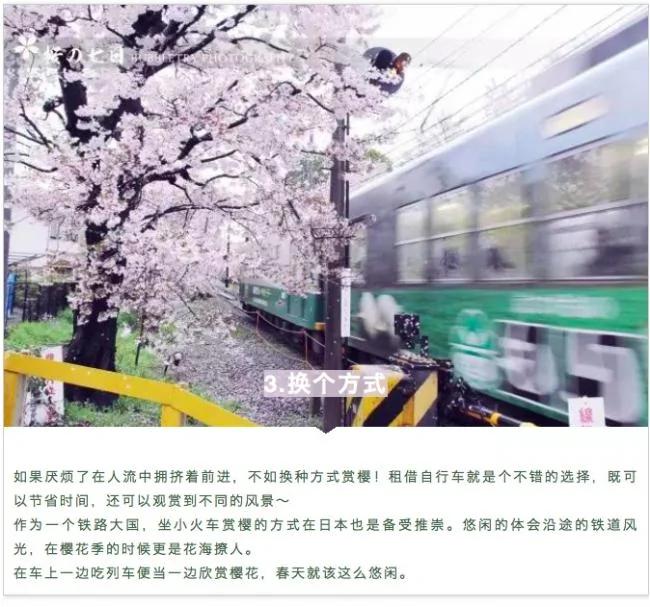 这篇完美的日本赏樱攻略 让你轻松赏樱花