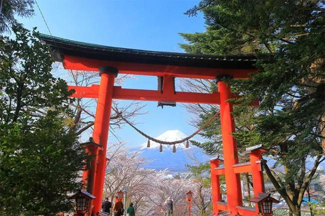 这篇完美的日本赏樱攻略 让你轻松赏樱花