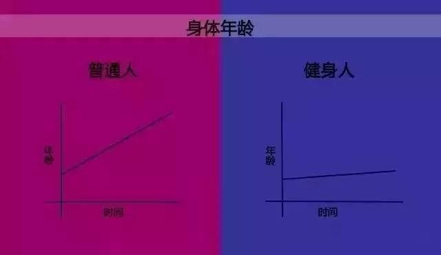10张图告诉你 健身和不健身的区别有多大