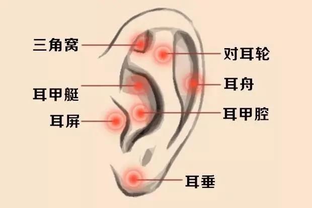 捏耳朵竟有如此神效!睡前按一按 赶走各种病