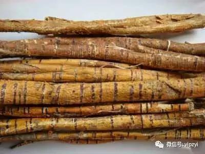 这一物全身都是宝 颈肩酸痛 肺热咳嗽 脱发白发的一定要看!效果实在太吓人了!