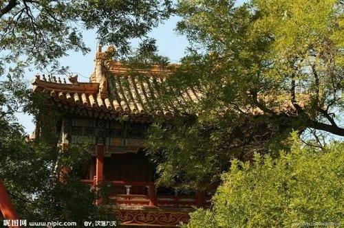 北京雍和宫里的神奇佛像