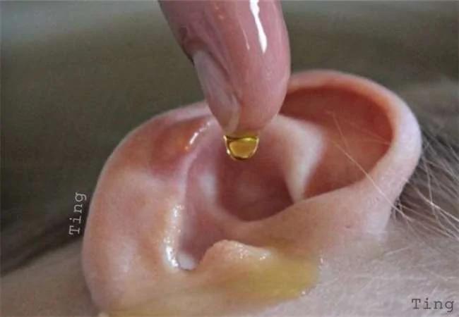 你家的橄榄油只拿来吃吗?后悔现在才知道