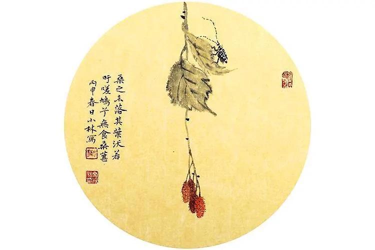 一部《诗经》= 半部“吃经”?3000多年前的人都吃些什么?