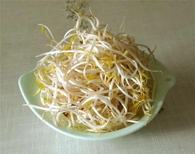 没想到一个宝特瓶就能种出全家人吃的豆芽菜 重点是作法超简单