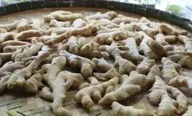 洗脚水里加两勺白醋 发生了神奇的一幕