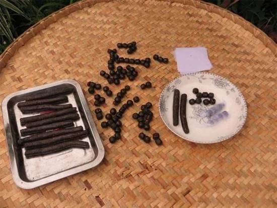 电视剧里的救命“仙丹”本尊竟是它