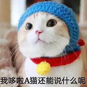 你身边最稀奇的姓氏是什么?网友大呼:涨知识!