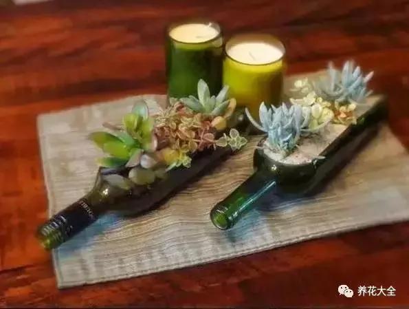 花盆比花还贵?别买了!一把剪刀就能做一堆