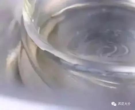 花盆比花还贵?别买了!一把剪刀就能做一堆