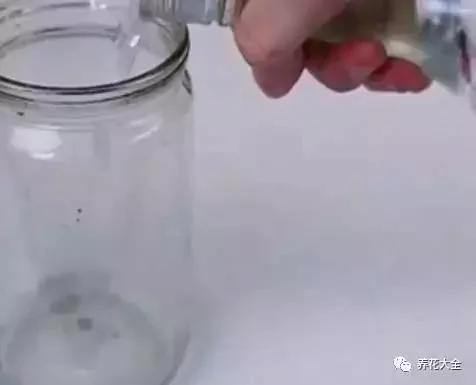 花盆比花还贵?别买了!一把剪刀就能做一堆