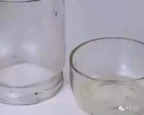 花盆比花还贵?别买了!一把剪刀就能做一堆