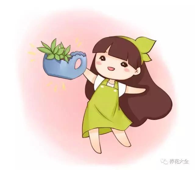 花盆比花还贵?别买了!一把剪刀就能做一堆