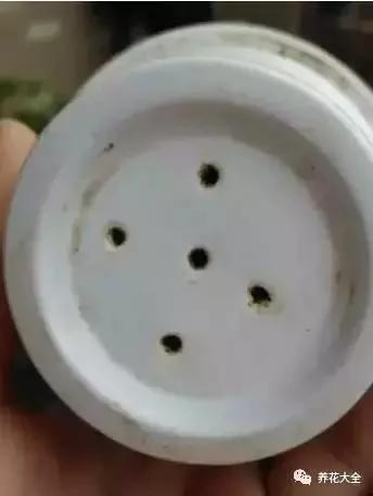 花盆比花还贵?别买了!一把剪刀就能做一堆
