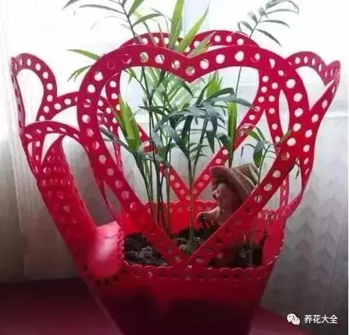 花盆比花还贵?别买了!一把剪刀就能做一堆