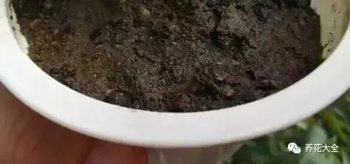 花盆比花还贵?别买了!一把剪刀就能做一堆