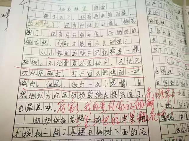 学生作文现“三生三世十里桃花” 看老师的诙谐点评!