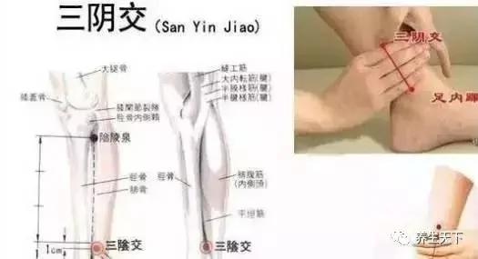 脾虚比肾虚更可怕!脾有病 人就废一半!