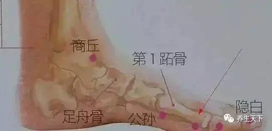 脾虚比肾虚更可怕!脾有病 人就废一半!