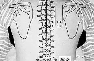 脾虚比肾虚更可怕!脾有病 人就废一半!