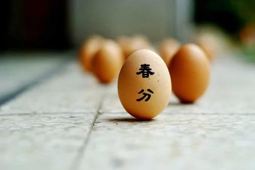 神秘的节气!能立蛋的“春分”