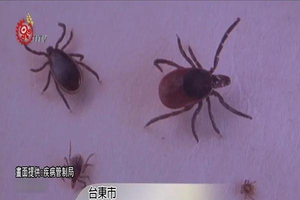 高烧头痛无鼻水是感冒?4症状恐是这个搞鬼
