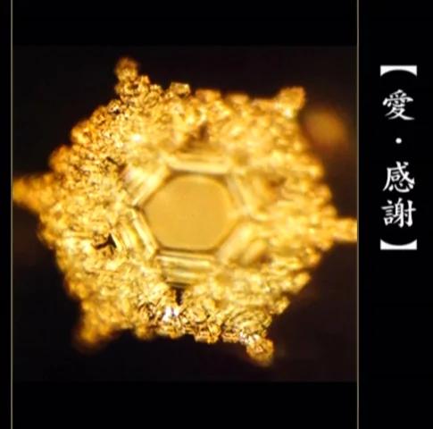 “七情”对养生有什么意义?