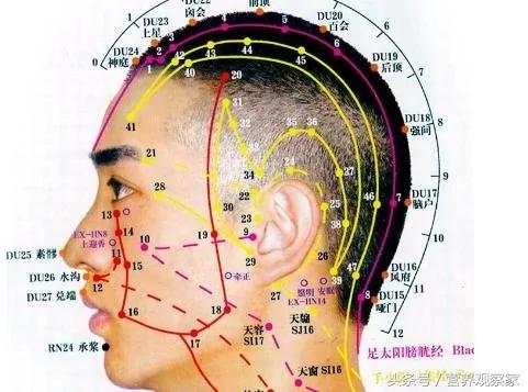 经络不通 补什么都没用 只用一招:经络通 百病消