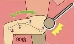 肝胆不好 百病缠身!春天用这招疏通肝胆 心情好、睡眠好