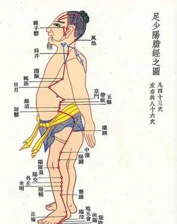 肝胆不好 百病缠身!春天用这招疏通肝胆 心情好、睡眠好