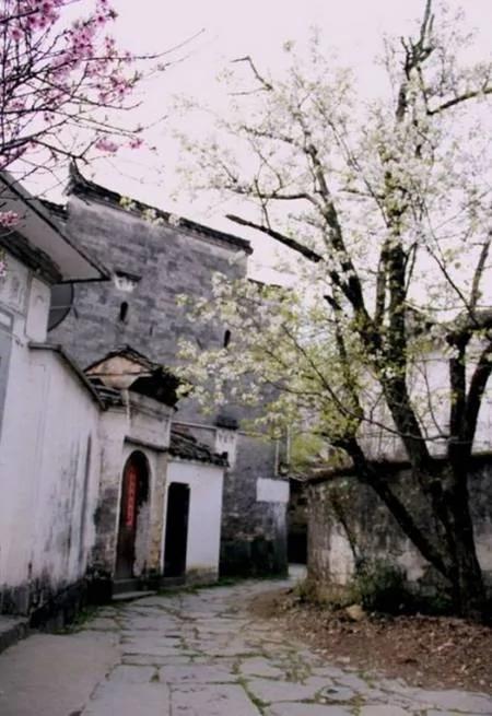 原来 中国人住的气质