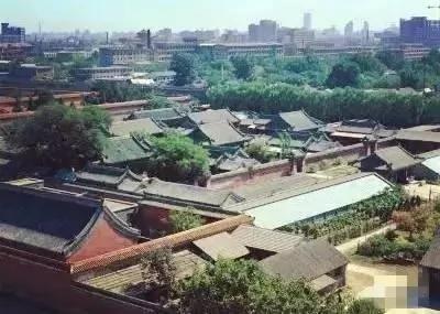 故宫三大殿周围为何没有一棵树?