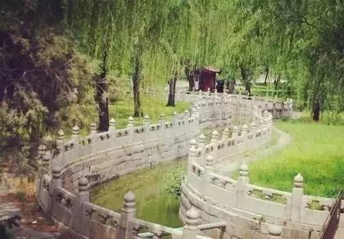 故宫三大殿周围为何没有一棵树?