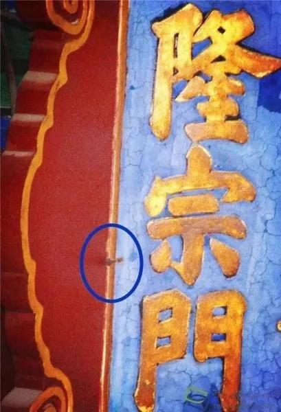 故宫三大殿周围为何没有一棵树?