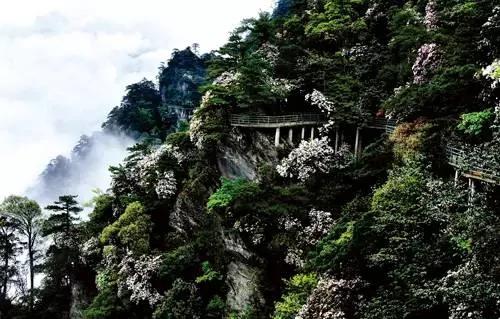 瞬间腿软 中国超恐怖的9个悬空栈道