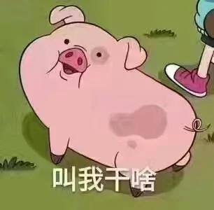 10条奇葩搞笑新闻 吃饭勿看!