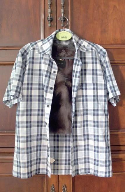 洗衣店拿回来的衣服 塑胶套到底该不该拿掉?