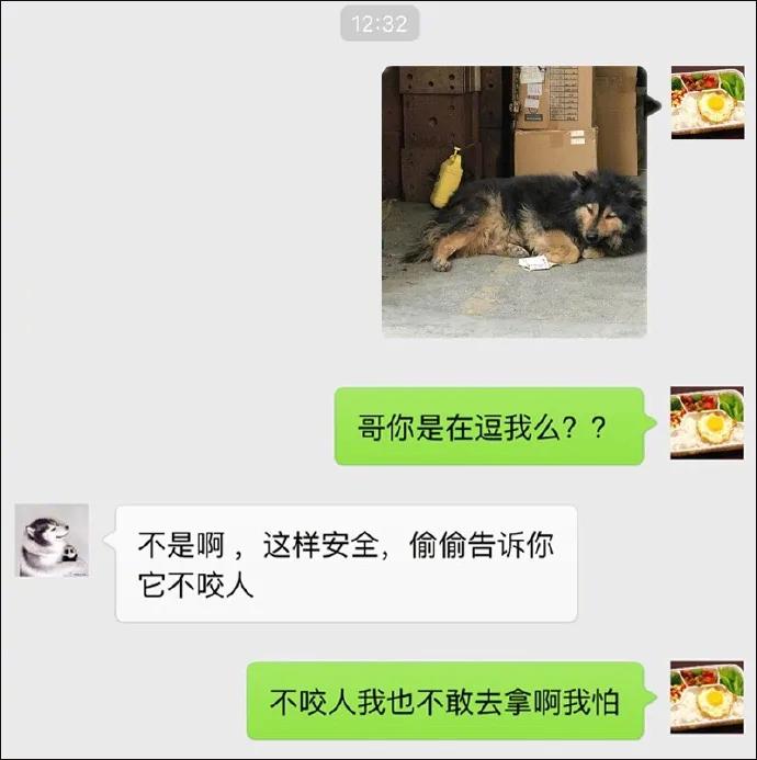 外卖小哥遇奇葩顾客 派狗在门口付钱