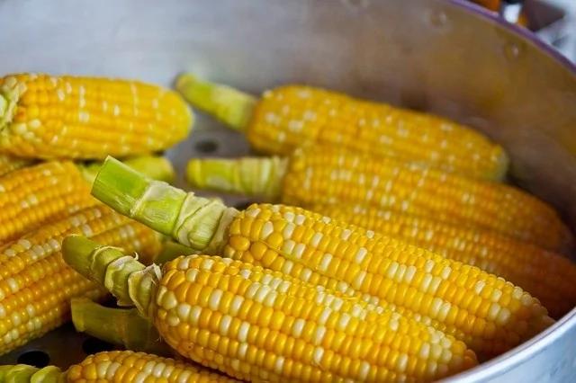 玉米你了解多少?尤其是这部分可谓“天然好物”