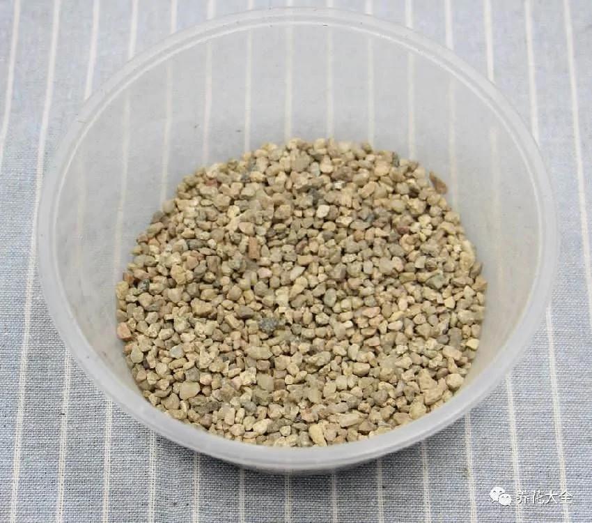 必学 养花十年没换过盆 年年花开满枝 只因为做了这个