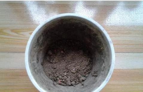 必学 养花十年没换过盆 年年花开满枝 只因为做了这个