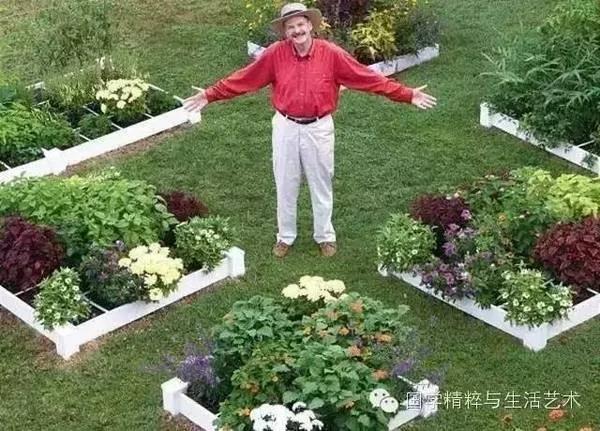 美国1米小菜园 让全家人轻松吃上放心蔬菜!