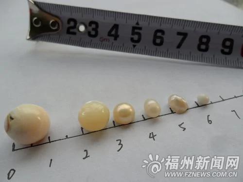 1颗珍珠放糯米中 9年后竟然生出5颗珍珠?
